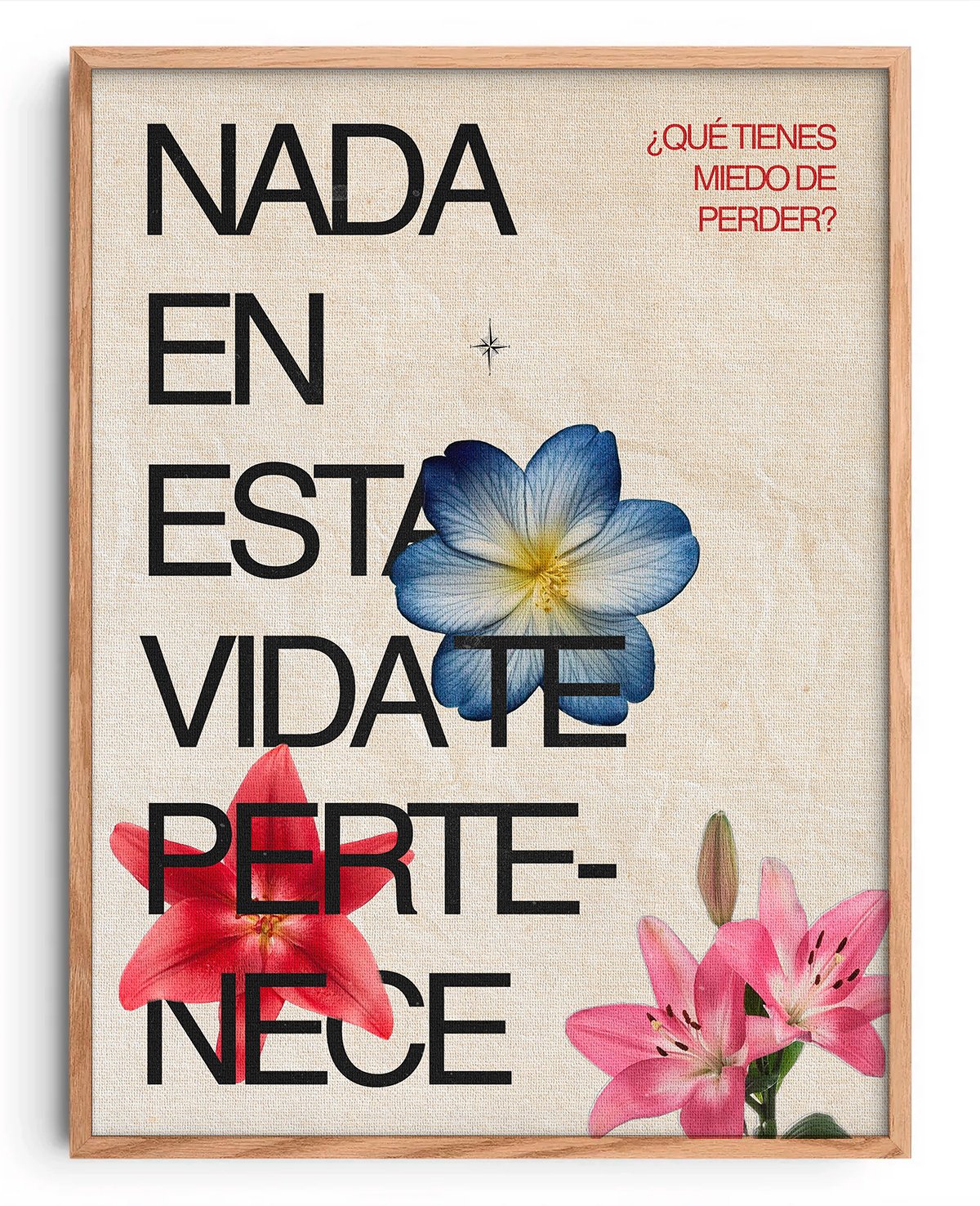 Nada nos pertenece - Imagen 3