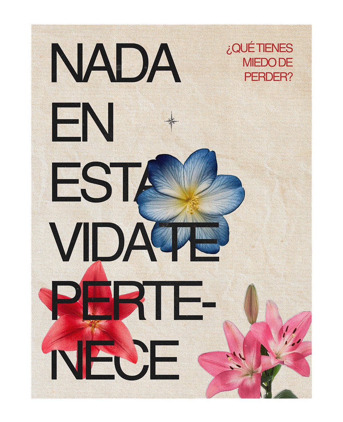 Nada nos pertenece - Imagen 4