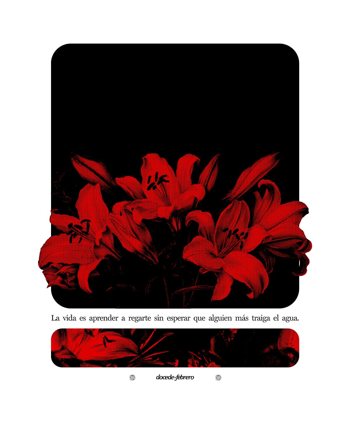 Aprende a regarte - Imagen 4